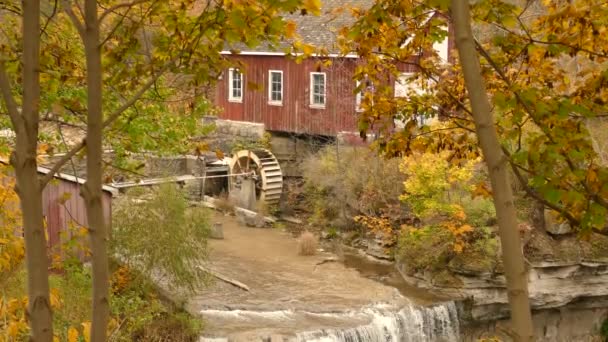 Alte Wassermühle Einem Bunten Herbsttag Mit Orangefarbenen Blättern Bäumen — Stockvideo