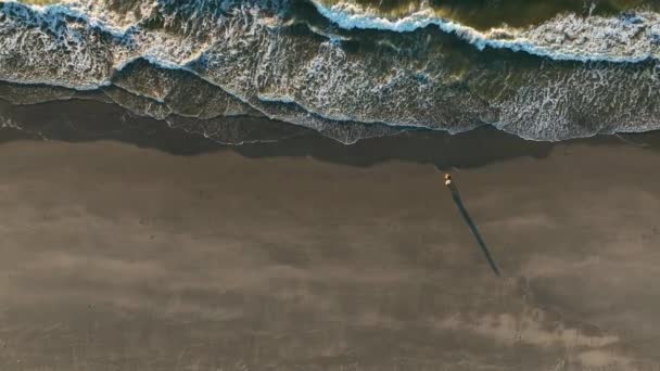 Foto Aérea Arriba Hacia Abajo Una Pareja Caminando Sola Playa — Vídeo de stock