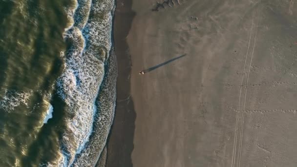 Západ Slunce Vrhá Dlouhé Stíny Páru Kráčejícího Pláži Nad Hlavou — Stock video