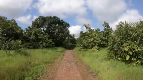 Séta Cobbled Stone Pathway Közelében Brahmagiri Western Ghats Maharashtra India — Stock videók