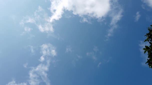 Opkijkend Zonnige Blauwe Lucht Met Wolken Van Forest Trail Lage — Stockvideo