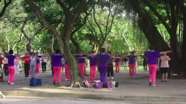 Timelapse Duża Grupa Pań Różowych Fioletowych Mundurkach Ćwiczących Choreografię Taneczną — Wideo stockowe