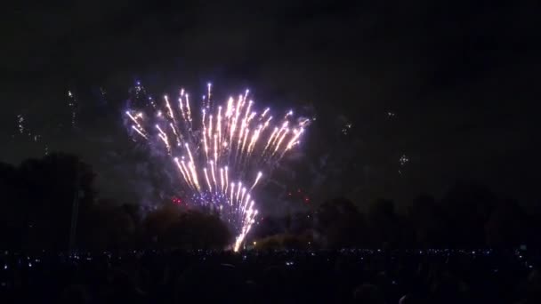 Impresionante Exhibición Fuegos Artificiales Battersea Park Para Celebrar Noche Hoguera — Vídeos de Stock