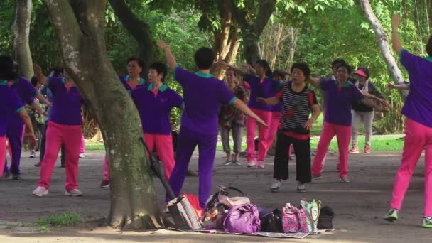 Moción Lenta Gran Grupo Damas Uniformes Rosa Púrpura Practicando Coreografía — Vídeos de Stock