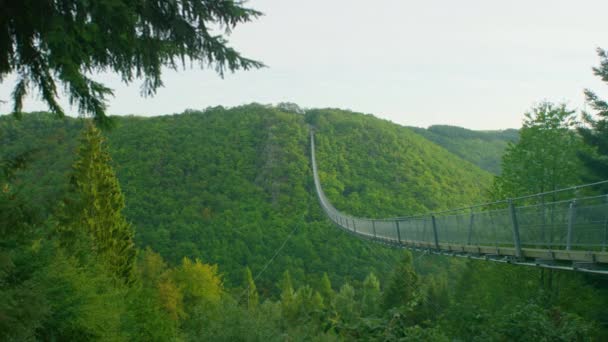 Podul Suspendat Geierlay Împușcat Dimineața Zilei Vară Gimbal — Videoclip de stoc