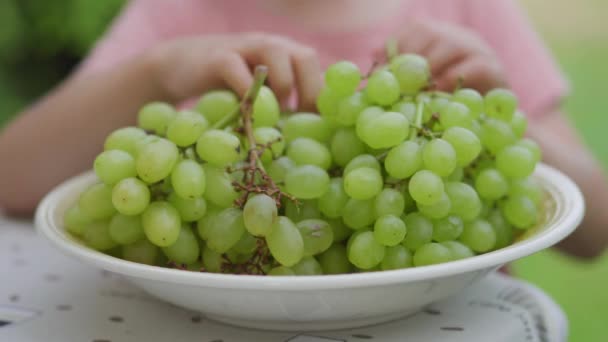Una Niña Pequeña Está Comiendo Uvas Verdes Afuera Durante Verano — Vídeo de stock