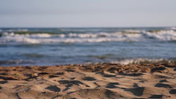 Playa Vacía Cámara Lenta Cambio Enfoque Primer Plano Fondo — Vídeos de Stock