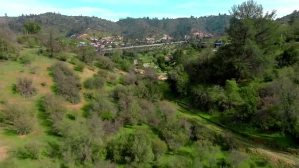 Verdant Leafy Mountains Tree Nursery Route Santiago Valparaiso Chile Aviação — Vídeo de Stock