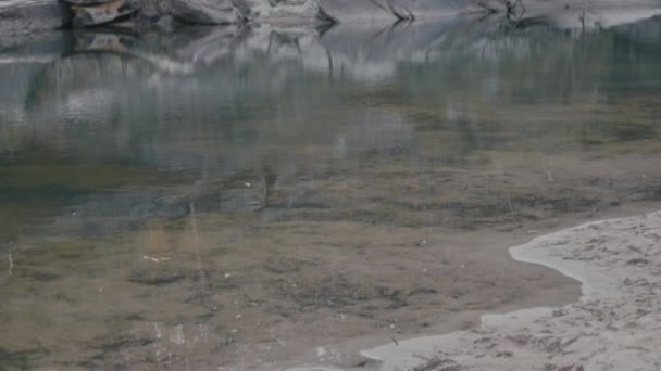 Jezero Jellybean Bazénu Národní Park Západní Sydney Austrálie — Stock video