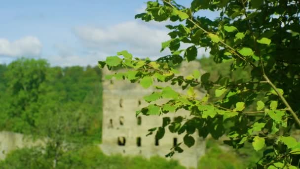 Castillo Ruina Balduinseck Día Soleado Rheinland Pfalz Alemania — Vídeos de Stock