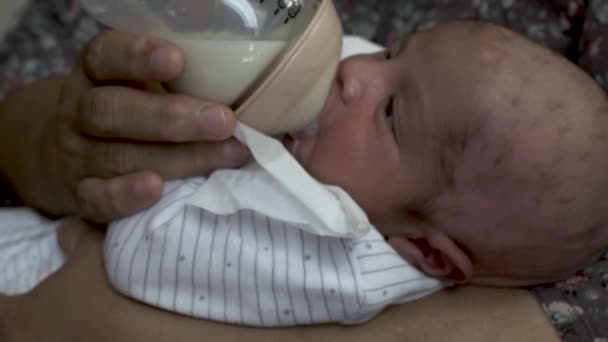 Portrait New Born Baby Drinking Milk Bottle Slow Zoom Out — Stock Video