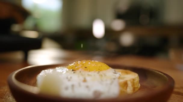 Todo Menos Bagel Condimento Que Espolvorea Sobre Yema Huevo Frito — Vídeos de Stock