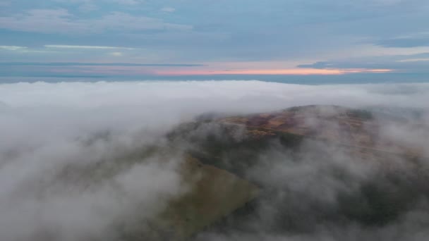 日の出の霧の中で覆われているローズベリートッピング上の空中映像 — ストック動画