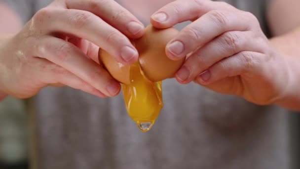 Fresh Brown Egg Being Cracked Slow Motion Yolk Falls Out — Stock Video