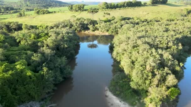 Floresta Ripária Rio Tibagi Estado Paran Sul Brasil — Vídeo de Stock