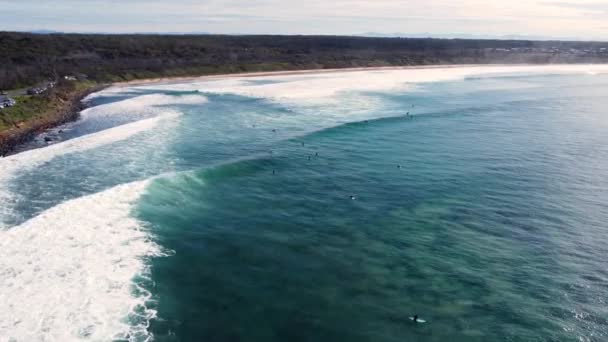 Drone Aerial Pan Landscape Scenery Surfers Line Ocean Swell Waves — стоковое видео