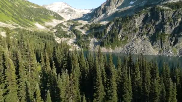 Rivelando Lago Blu Dietro Foresta Abeti Rossi Con Montagne Sullo — Video Stock