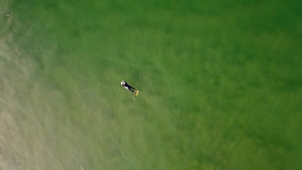 Drone Toma Aérea Bodyboarder Esperando Océano Sandbank Line Surf Viajes — Vídeos de Stock