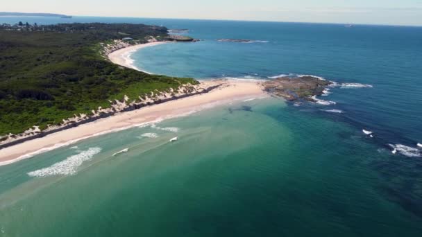 美しいブッシュランド砂浜の景色を望むドローンの空中パンショットノーラヘッドソルジャーズビーチセントラルコーストの観光旅行はニューサウスウェールズ州オーストラリア4Kを探索 — ストック動画