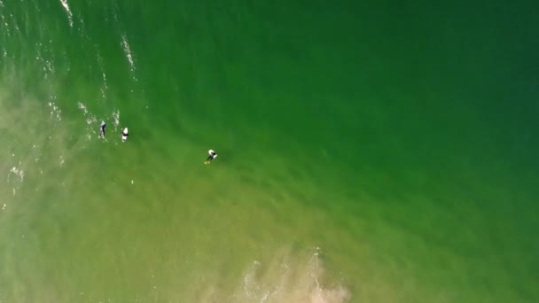 Flygdrönare Fågelperspektiv Bodyboarder Väntar Landskap Havsbotten Sandbar Kust Paus Vågor — Stockvideo