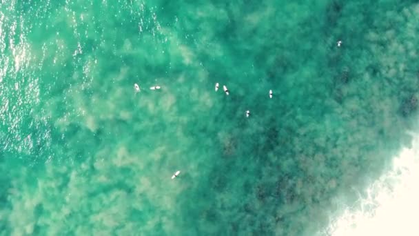 无人机空中风景风景鸟瞰冲浪者排队等待水晶般清澈美丽的大海老酒吧北海岸中部塔雷新南威尔士州澳大利亚4K — 图库视频影像
