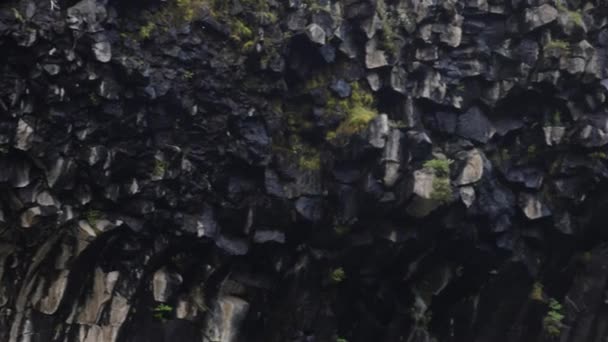 Svartifoss Falls Island Mit Nahaufnahme Von Links Nach Rechts — Stockvideo