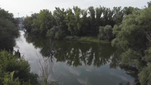 Filmato Aereo Piccolo Lago Varsavia Polonia Con Alberi Intorno — Video Stock
