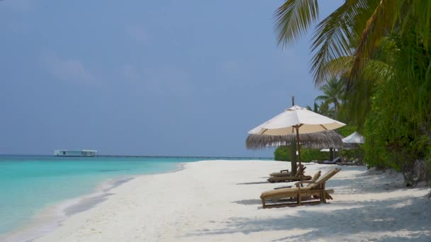 热带海滩 有柔和波浪的棕榈树躺椅和雨伞 — 图库视频影像