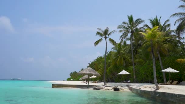 Maldivas Aisladas Playa Tropical Con Palmeras Arena Aguas Tranquilas Sombrillas — Vídeos de Stock