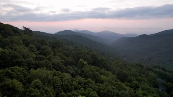 Cime Des Arbres Aérienne Lever Soleil Long Chaîne Montagnes Crête — Video