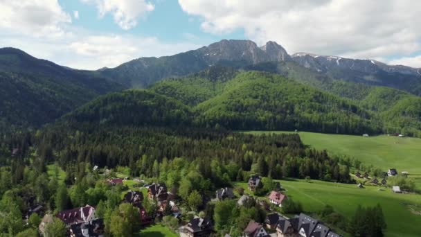 Polonya Tatry Dağları Tarım Arazileri Polonya Nın Zakopane Yakınlarındaki Ormanlar — Stok video