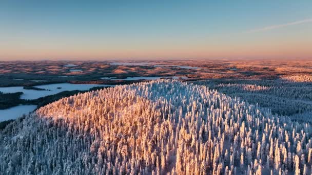 Luchtfoto Met Uitzicht Besneeuwde Bomen Zonovergoten Konttainen Viel Kuusamo Finland — Stockvideo