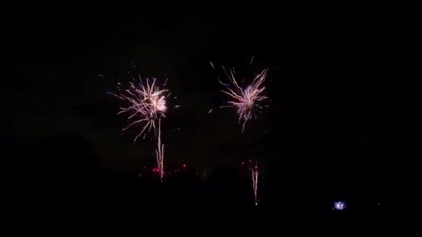 Timelapse Fyrverkerier Med Silhuetter Människor Tittar Battersea Park För Guy — Stockvideo