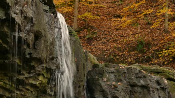 Rekaman Air Dari Celah Berbatu Air Dari Air Terjun Mengalir — Stok Video