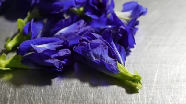 Högen Med Fjäril Ärta Blomma Närbild — Stockvideo