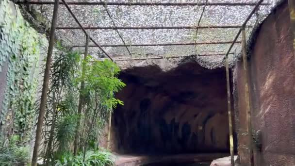 Relaxation Amazon River Quest Promenade Sur Eau Naviguant Dans Tunnel — Video