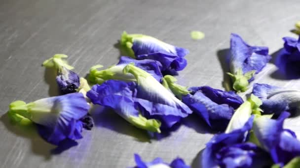 Montón Flor Guisante Mariposa Cerca — Vídeos de Stock