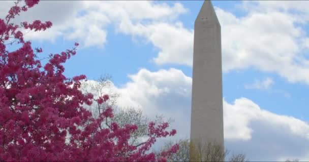 Avião Decola Atrás Majestoso Obelisco Washington Sob Céu Azul Primavera — Vídeo de Stock