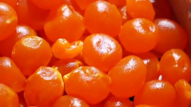 Banyak Dari Orange Salted Yolk Close — Stok Video