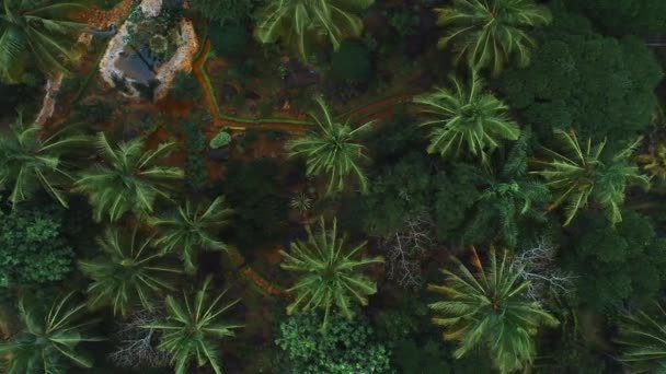 Luftaufnahme Des Steingartens Von Morogoro — Stockvideo