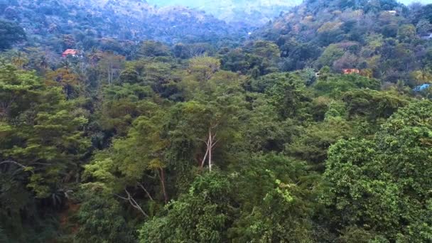 Vista Aérea Del Jardín Rocoso Morogoro — Vídeo de stock