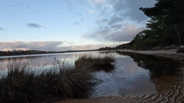 Início Manhã Nascer Sol Strahan Costa Oeste Tasmânia — Vídeo de Stock