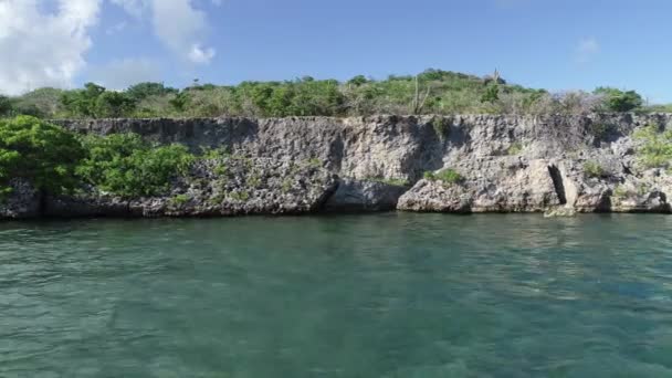 Vista Aérea Rocas Coral Dron Costero Disparado Sobre Cactus Plantas — Vídeos de Stock