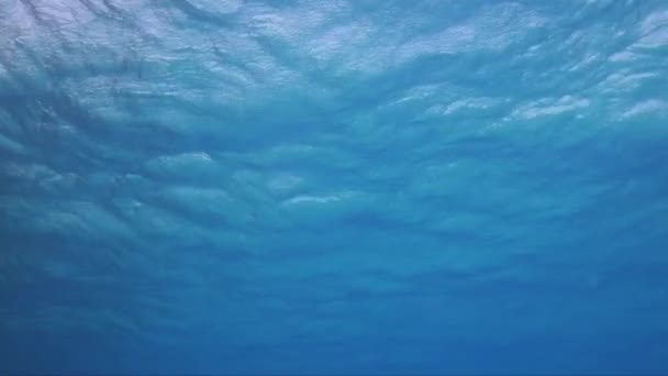 Superficie Oceanica Filmata Sott Acqua Con Onde Morbide — Video Stock