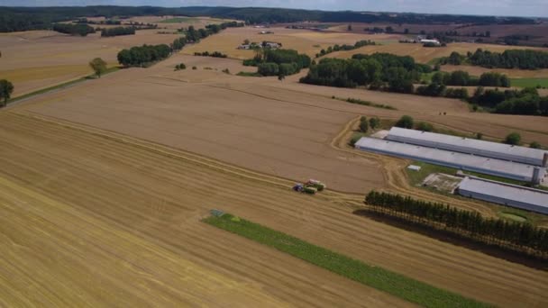 Mähdrescher Und Traktor Während Des Arbeitsprozesses Auf Dem Weizenfeld — Stockvideo