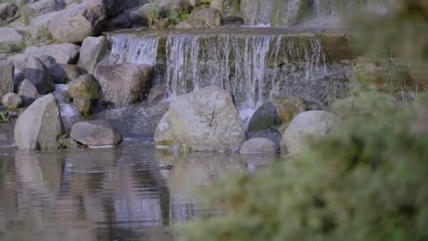 Uma Pequena Cachoeira Parque Fluindo Através Das Rochas Belo Dia — Vídeo de Stock