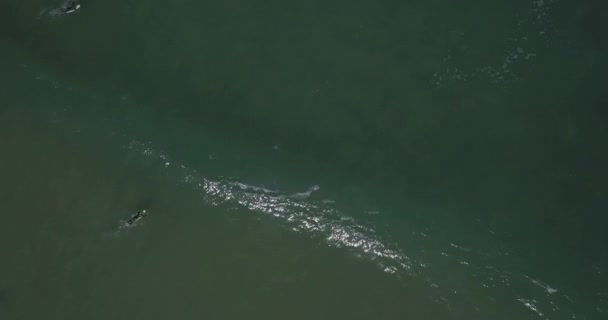 ポルトガルのビーチ 大西洋の空中ショット 海岸沿いの波の上を飛んでいます — ストック動画
