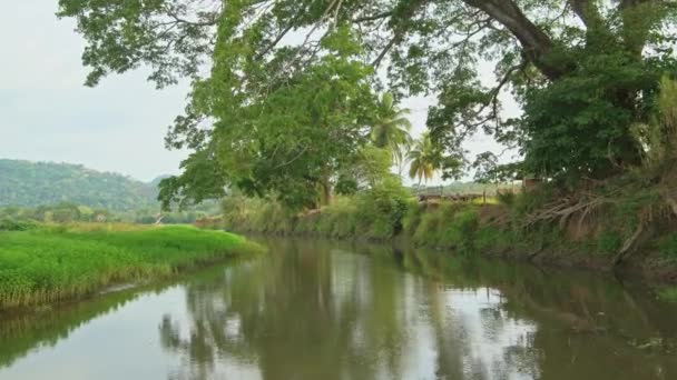 Costa Rica Tarcoles River Landscape Beautiful Green Scenery While Moving — Vídeos de Stock