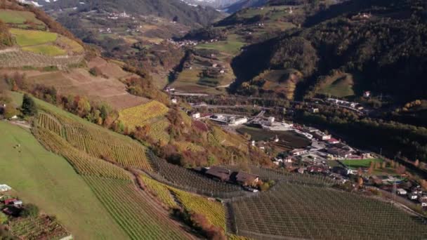 Vallée Italienne Avec Vignoble Sur Versant Montagneux Journée Ensoleillée — Video