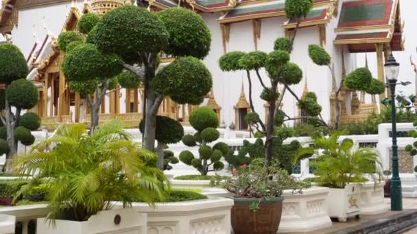 Prachtige Groene Tuin Met Een Gouden Indrukwekkende Tempel Achtergrond Gelegen — Stockvideo